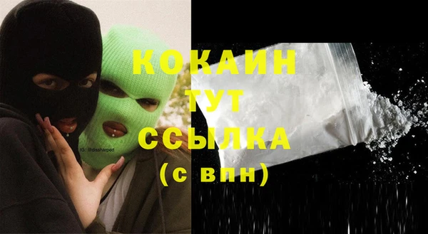 кокс Белокуриха