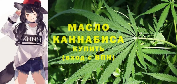 Альфа ПВП Бородино
