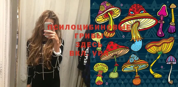 кокс Богданович