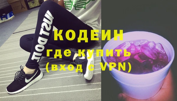 гидра Богородицк