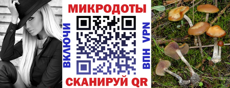 Псилоцибиновые грибы MAGIC MUSHROOMS  МЕГА tor  Кушва  хочу  