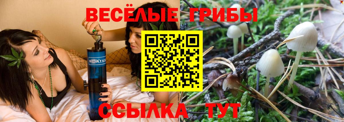 Кушва  что такое   Вход с VPN  Псилоцибиновые грибы мухоморы 